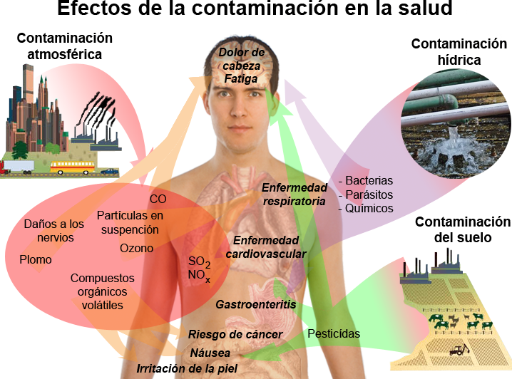 Enfermedades Alergicas Contaminacion